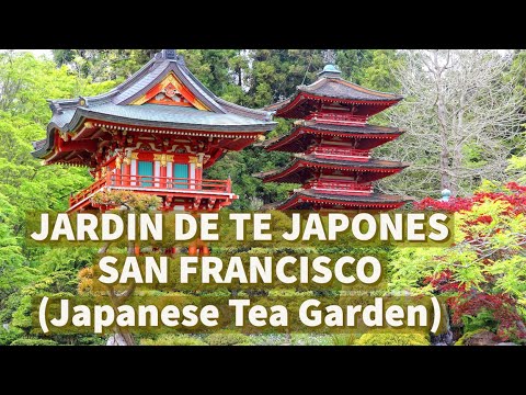 Video: Una guía para el jardín de té japonés en el parque Golden Gate