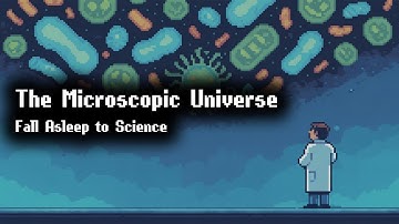 The Secret Life of Bacteria and Viruses | Documentary for Sleep