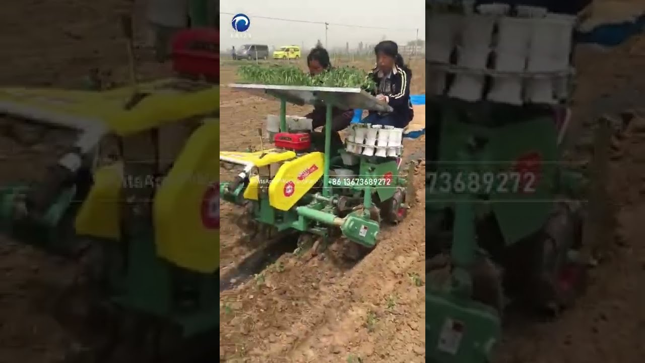 Self-propelled Vegetable Transplanter | 2 Row Manual Vegetable Transplanter Machine 