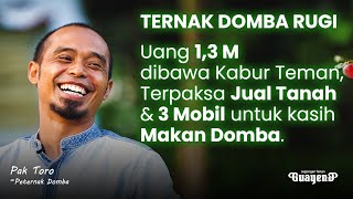 Dapat Pesanan 3.000++ Menjelang Idul Adha, 17 Tahun Survive Ternak Domba!