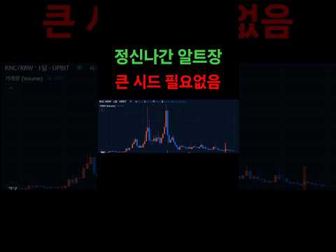 정신나간 알트장