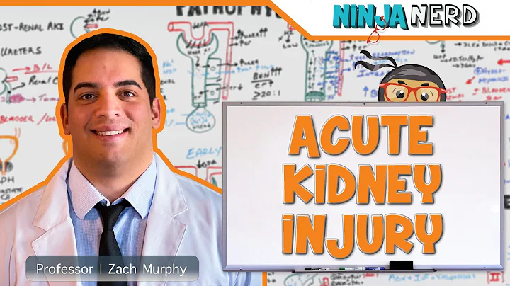 Acute Kidney Injury (AKI) | Etiology, Pathophysiology, Clinical Features, Diagnosis, Treatment - DayDayNews