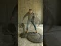 Ruined Concrete Building → Modern Minimalist Studio (Full Transformation)
