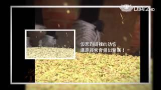 【愛悅讀 預告】201306011 食育小學堂