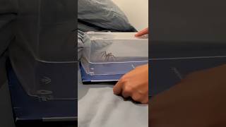 Fear Factor Friday! Check your sheets!
