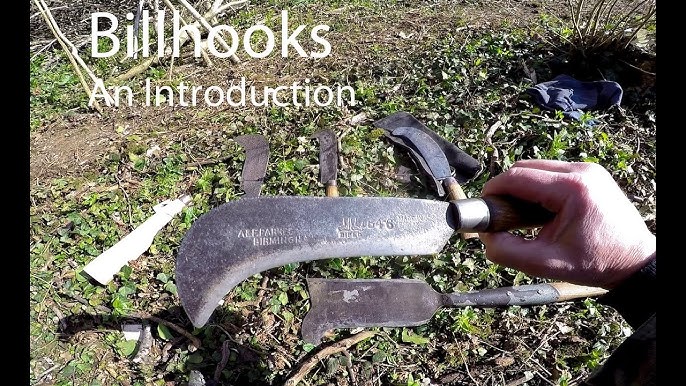 Testing Three Brushing Tools for Woodland Work: Billhook, Machetes