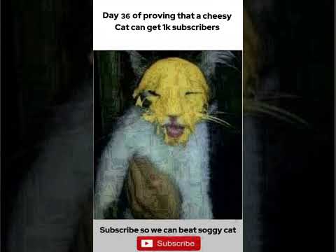 Day 36 -1