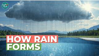 Precipitation Explained | Water Cycle and Weather Systems