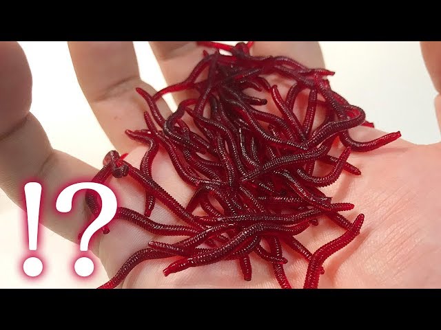I tried fishing with the first cheap worm sold on Amazon - YouTube