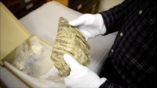 Salisbury Museum Behind the Scenes Tour Part 10