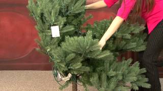 Step-by-Step Tree Assembly by GEHolidayLighting 64,147 views 12 years ago 1 minute, 34 seconds