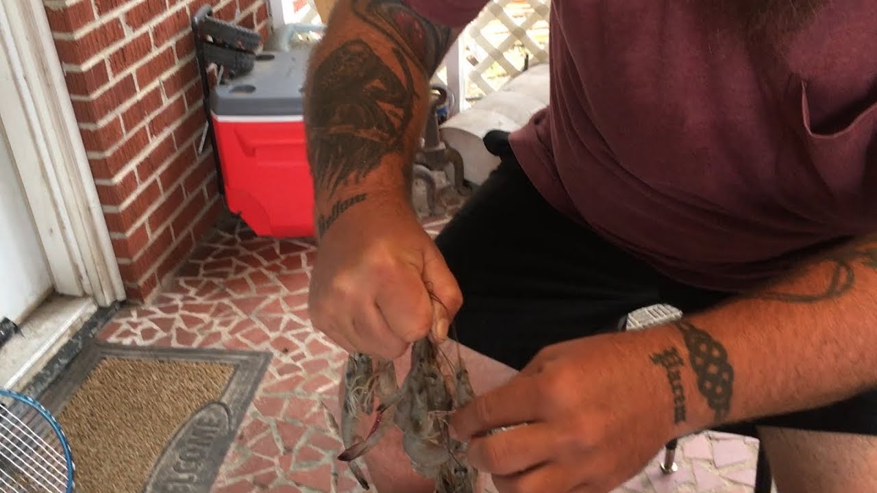 How to Remove Heads - Peel & De Vein Shrimp Clean and Ready to EAT!