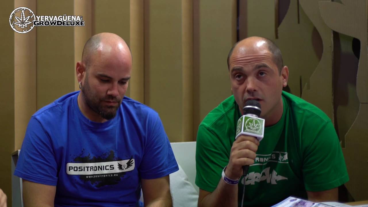 Critical #47 la mejor variedad de Positronic