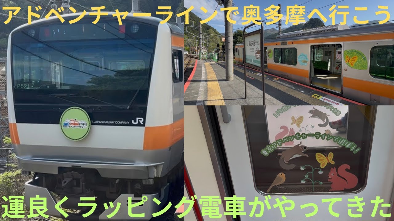 アドベンチャーラインで奥多摩へ行こう！】JR青梅線 E233系 P521編成
