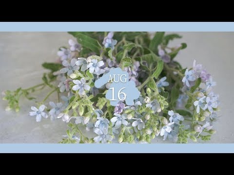 汝矣島でバニララテ飲んでお花も買って、お家でのんびり過ごした1日🌼【韓国生活Vlog/韓国カフェ】