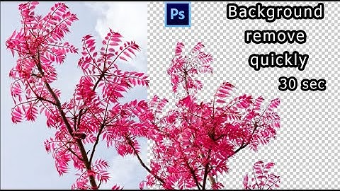 How to remove Random Tree background quickly 30 second in photoshop cs6 |Advance background remove