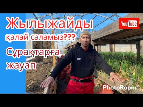 Бейне: Жылыжайды қалай зарарсыздандыруға болады: жылыжайды таза ұстау туралы ақпарат