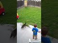 Cat saving the day...Once again