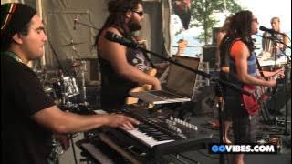 Tribal Seeds performs 