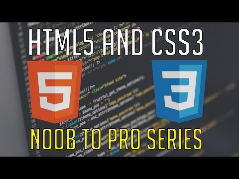 002 - Basic Tags - HTML/CSS Tutorial