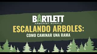 Escalando Arboles: Caminando una Rama