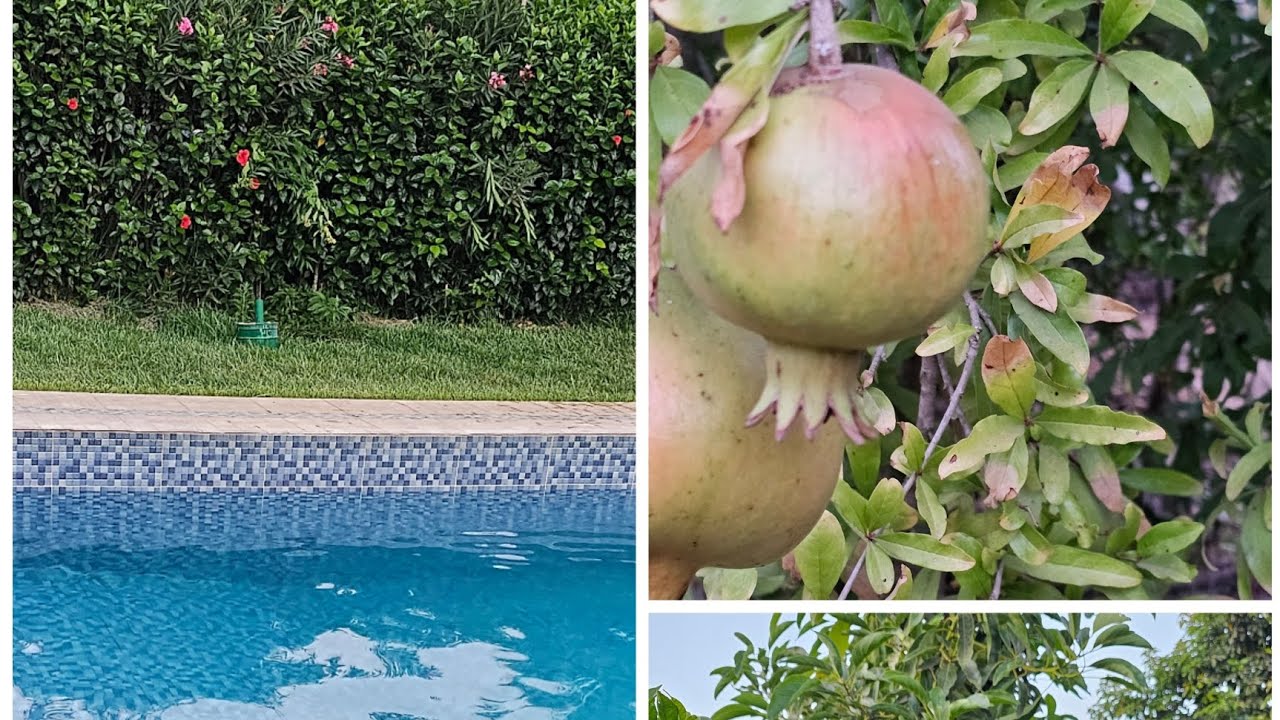 #أنهينا عطلتنا الصيفية بقضاء يوم جميل مع العائلة في إحدى الضيعات # فرجة ممتعة #