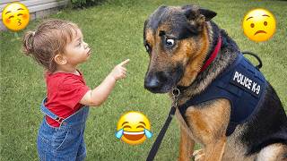 Try Not To Laugh 😂 Hilarious Dog Moments Caught on Camera #35