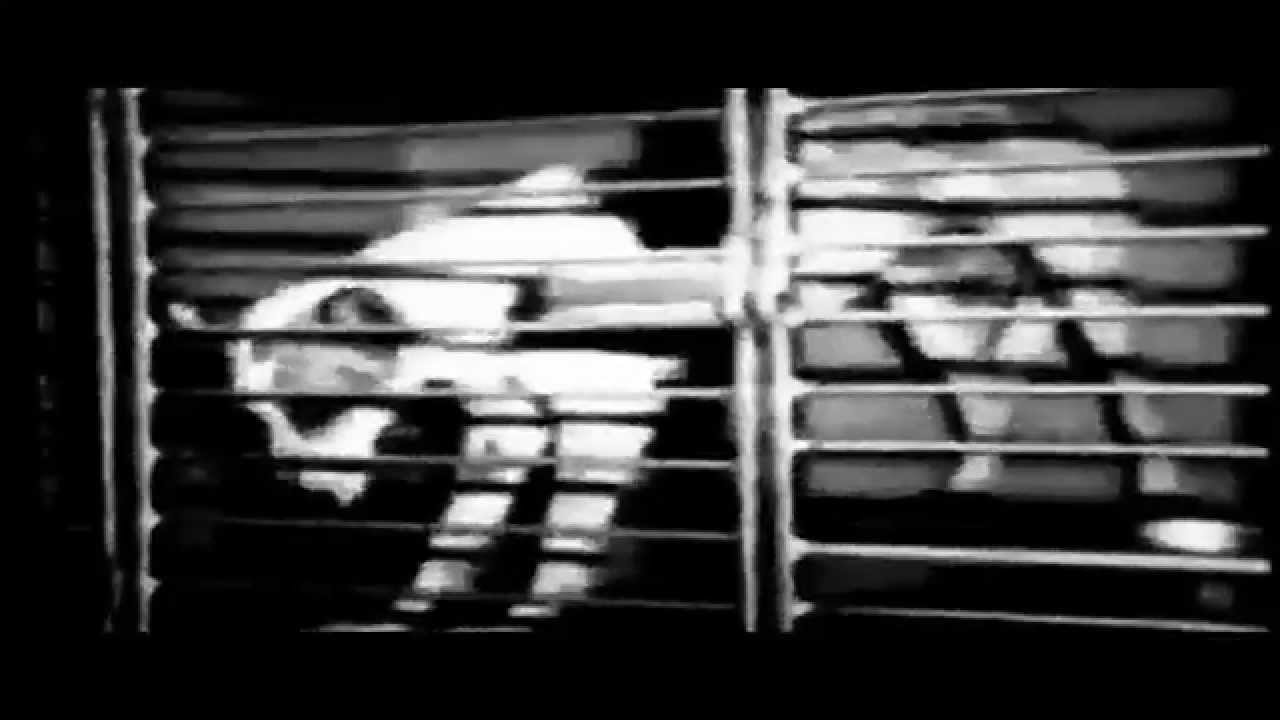 HYENA - In the Name of Progress (OFFICIAL MUSIC VIDEO)