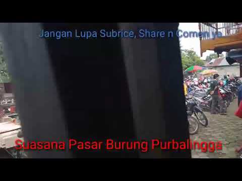 Suasana Pasar Hewan Purbalingga - YouTube