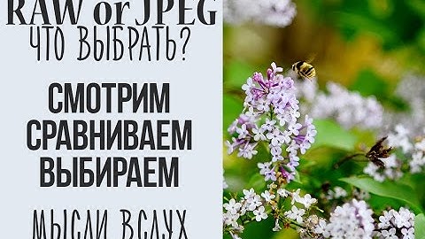 RAW или JPEG?!  Что выбрать для простой съемки?