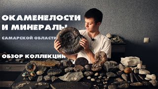 видео: Минералы и окаменелости, найденные в окрестностях Самарской области| Обзор коллекции  картинка: Минералы и окаменелости, найденные в окрестностях Самарской области| Обзор коллекции