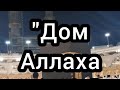 Кааба мечеть Аль Харам в Мекке. #мекка #медина #ислам