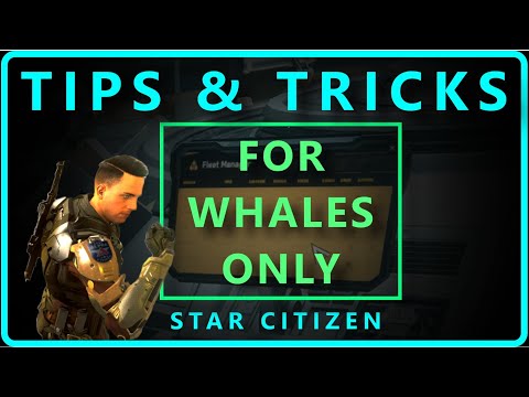 Big Fleet Problems? Star Citizen Tricks