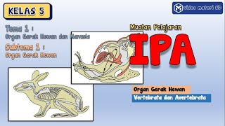 Video Pembelajaran IPA Kelas 5 Tema 1 Subtema 1 KD 3.1 dan 4.1 | Alat Gerak Hewan Video Pembelajaran IPA Kelas 5 Tema 1 Subtema 1 KD 3.1 dan 4.1 | Alat Gerak Hewan