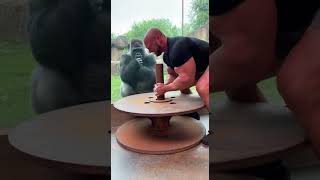 Strong Man Tries To Lift A Heavy Iron Disc Gorilla Laughs At The End
