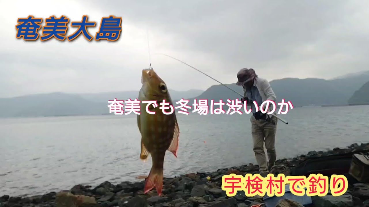 奄美大島宇検村で釣り　冬場の新規開拓