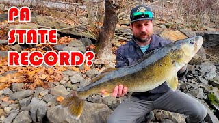 Potential PA State Record walleye, you won't believe what he ate!!!
