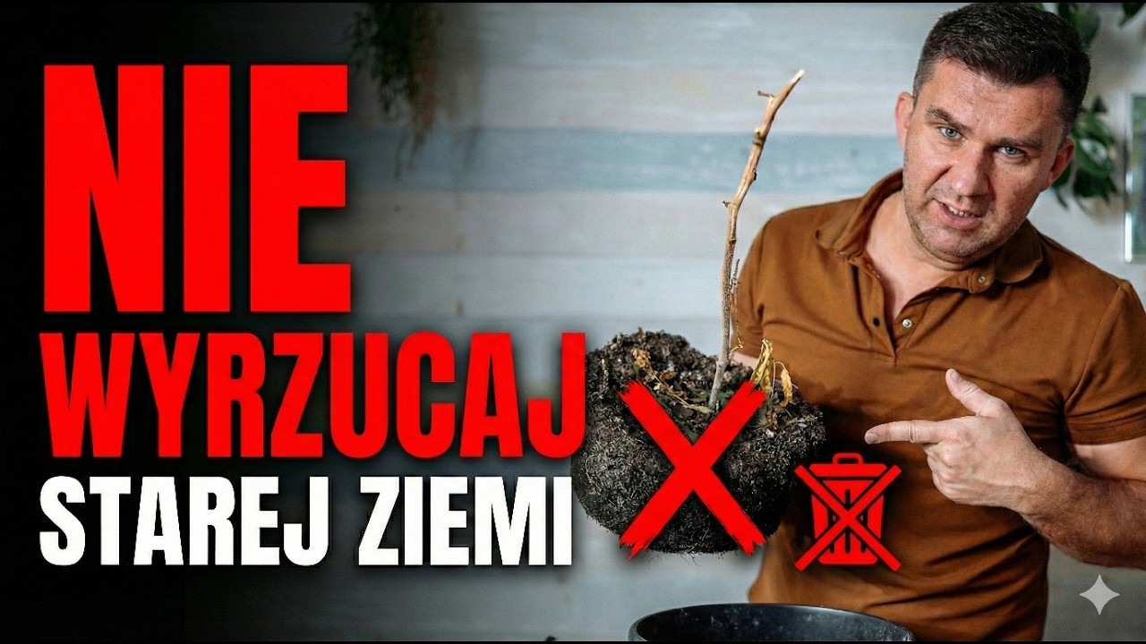 Ziemia do roślin balkonowych – jak przygotować podłoże za grosze