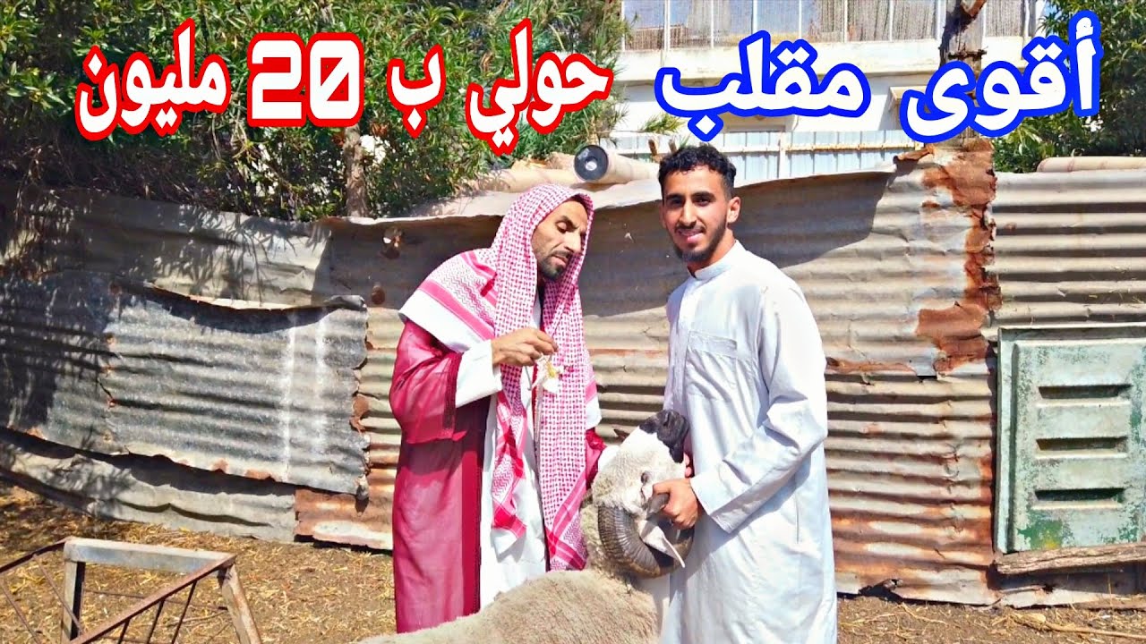 أقوى مقلب في المغرب على الإطلاق 😱 درت راسي سعودي بغا يبيع ليا حولي ب 20 مليون  أجيو تشوفو شنو وقع