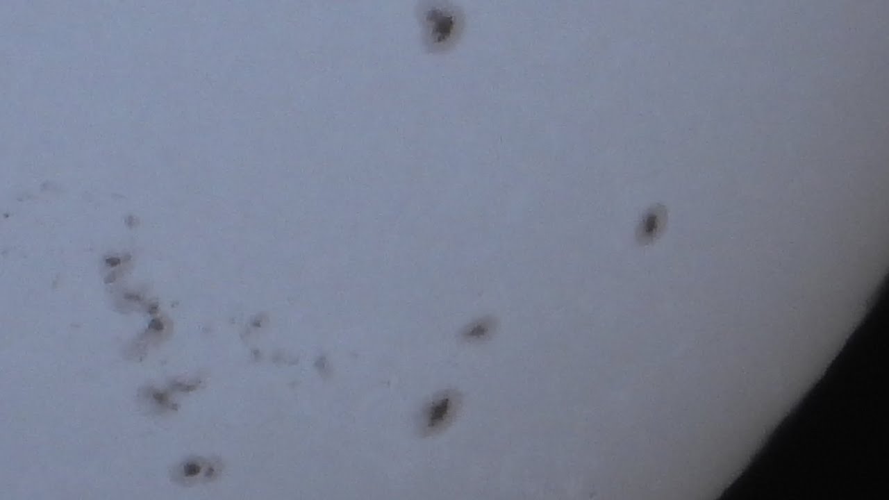 Lot's of Sunspots - Nikon P1000 & StarVue Baader Film Filter 