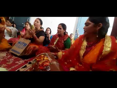 माता रानी की एक सुंदर सी भेंट इसे सुनकर हृदय भाव विभोर हो गया🙏🙏🙏⚘️⚘️🌿🌿🌼🌻⭐️⭐️⭐️