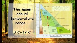 Deciduous Forest Climate