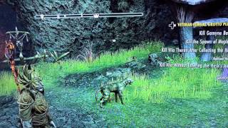 ESO Invisibility Glitch