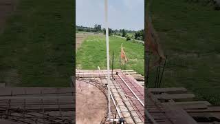 Alvida Electrician only Home services 🏠 location Baghada Deoria 🏠 छत पाईप फिटिंग 🏠
