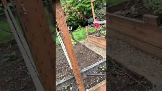 IMG 3725