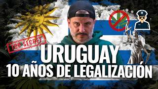 DATOS OCULTOS - ROMPIENDO MITOS 10 años de Marihuana Legal en Uruguay
