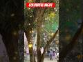 Colourful Night #colourful #night #music #love #uplifting #trending #song #happiness