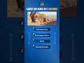 Mystery Explorer #7: The Ancient Wonder! 🕵️‍♂️