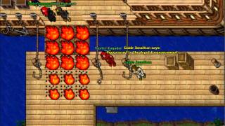 Tibia Endless Order Balera bot not working properly