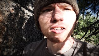 I'm stuck in a tree